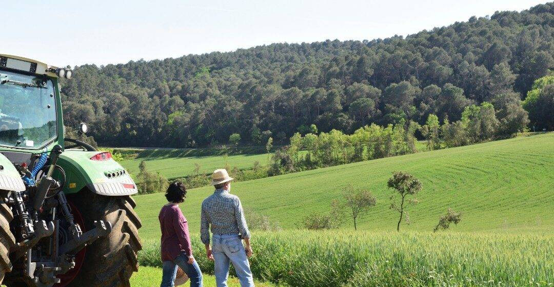 Agricultural and business property relief: What happened in the Budget?