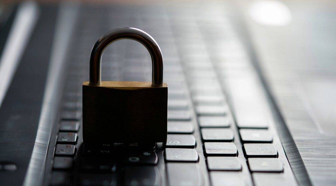 What Should You Do If You’re the Victim of a Data Breach